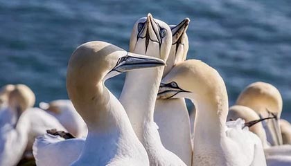 开云体育在线登入-孙颖莎横扫伊藤美诚，再度问鼎女单冠军，孙颖莎4_0击败伊藤美诚