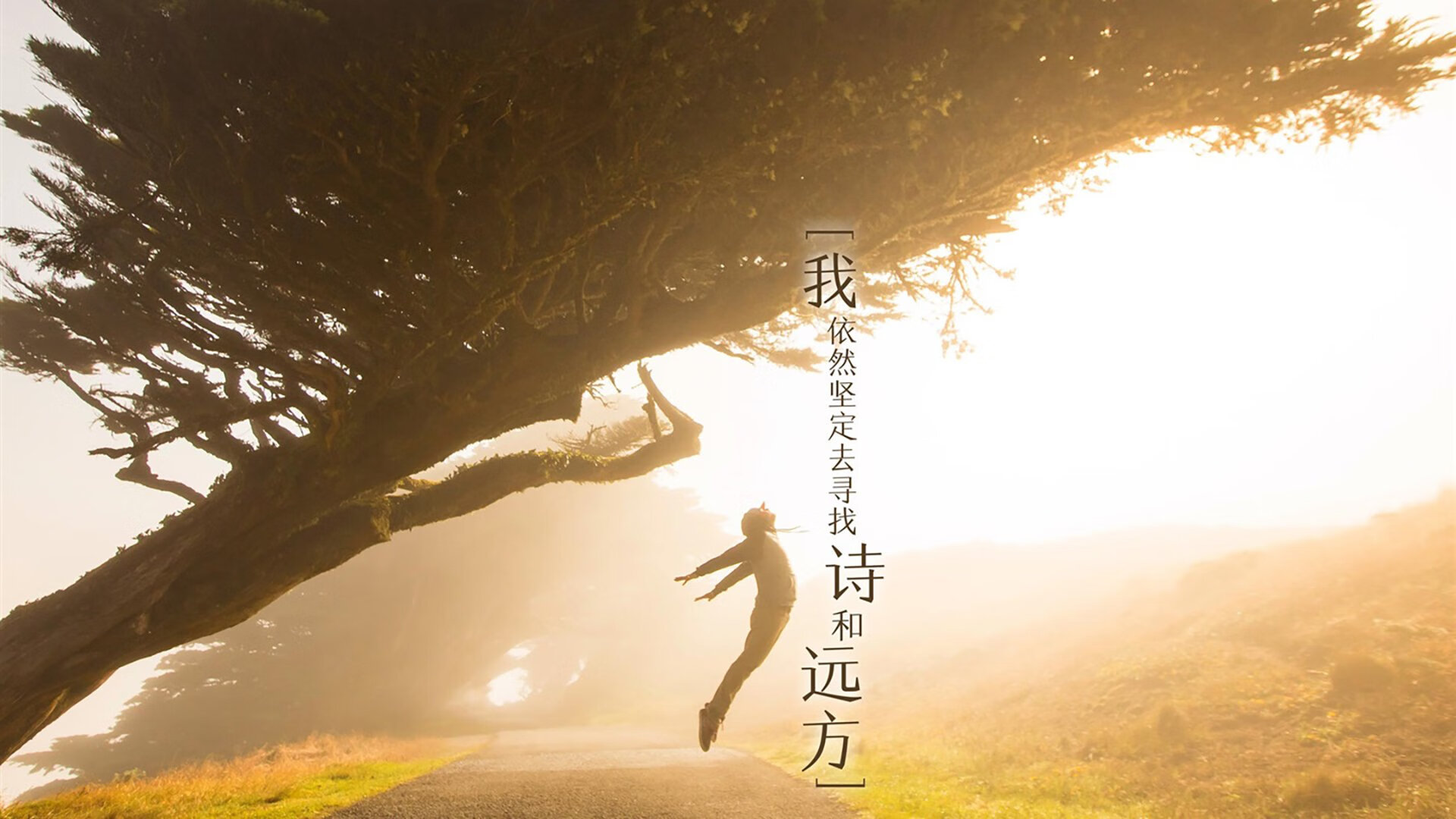 传统武术表演比赛，文化与运动的完美融合，武术类表演