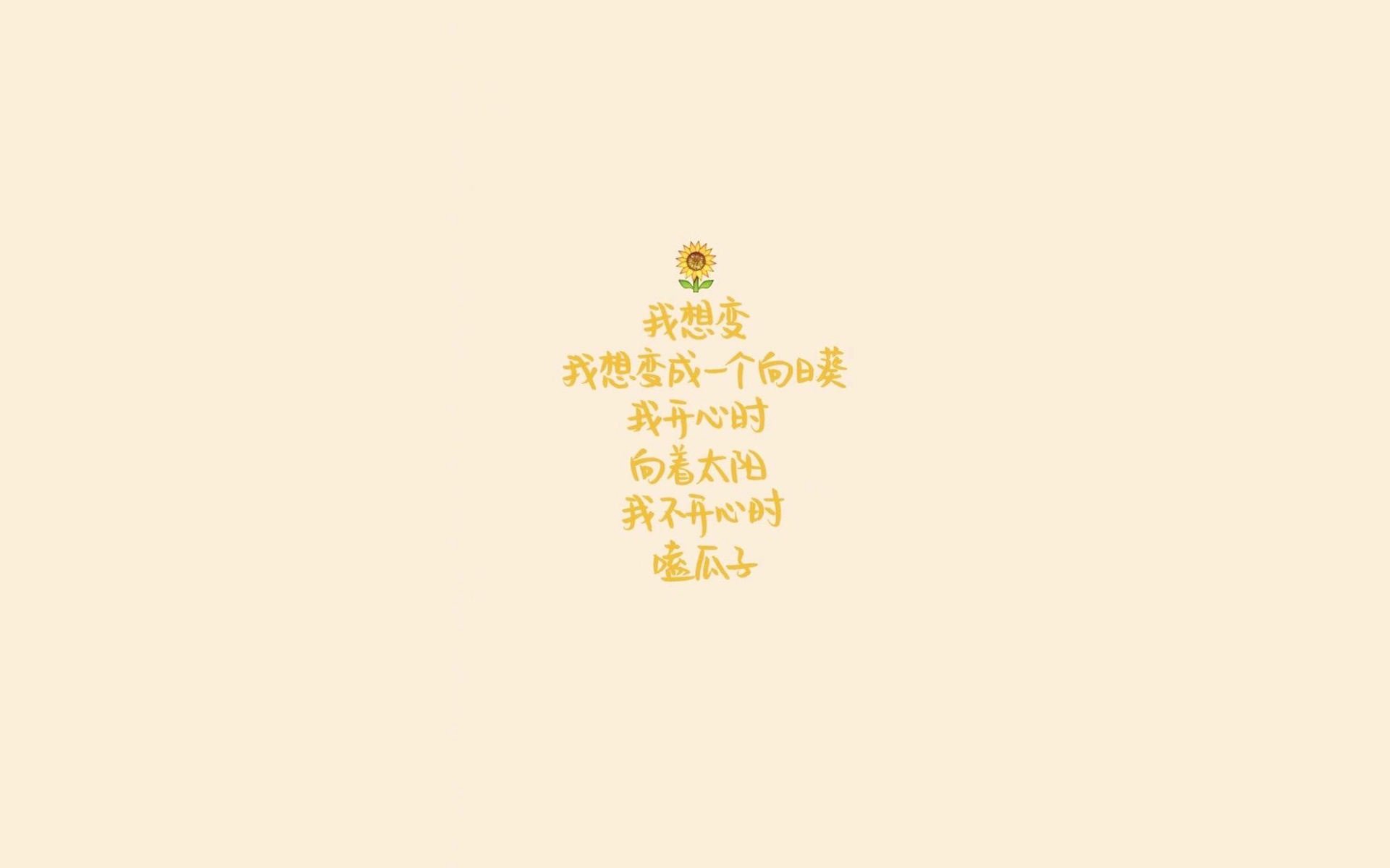 波切蒂诺重返南安普顿，能否带领球队重返胜利轨道？，波切蒂诺官宣