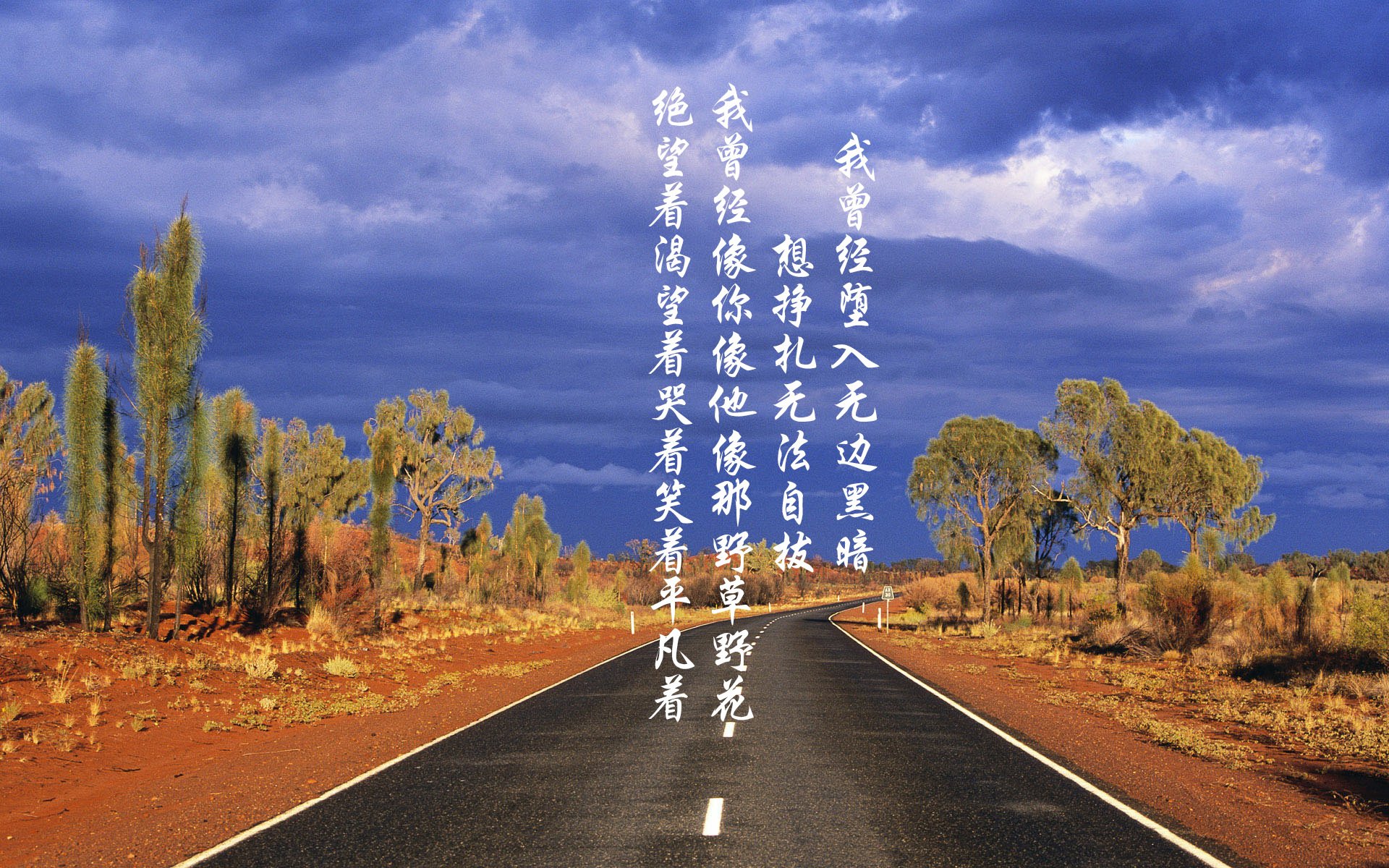 震撼一战！胜利之路又将何去何从，胜利之路视频
