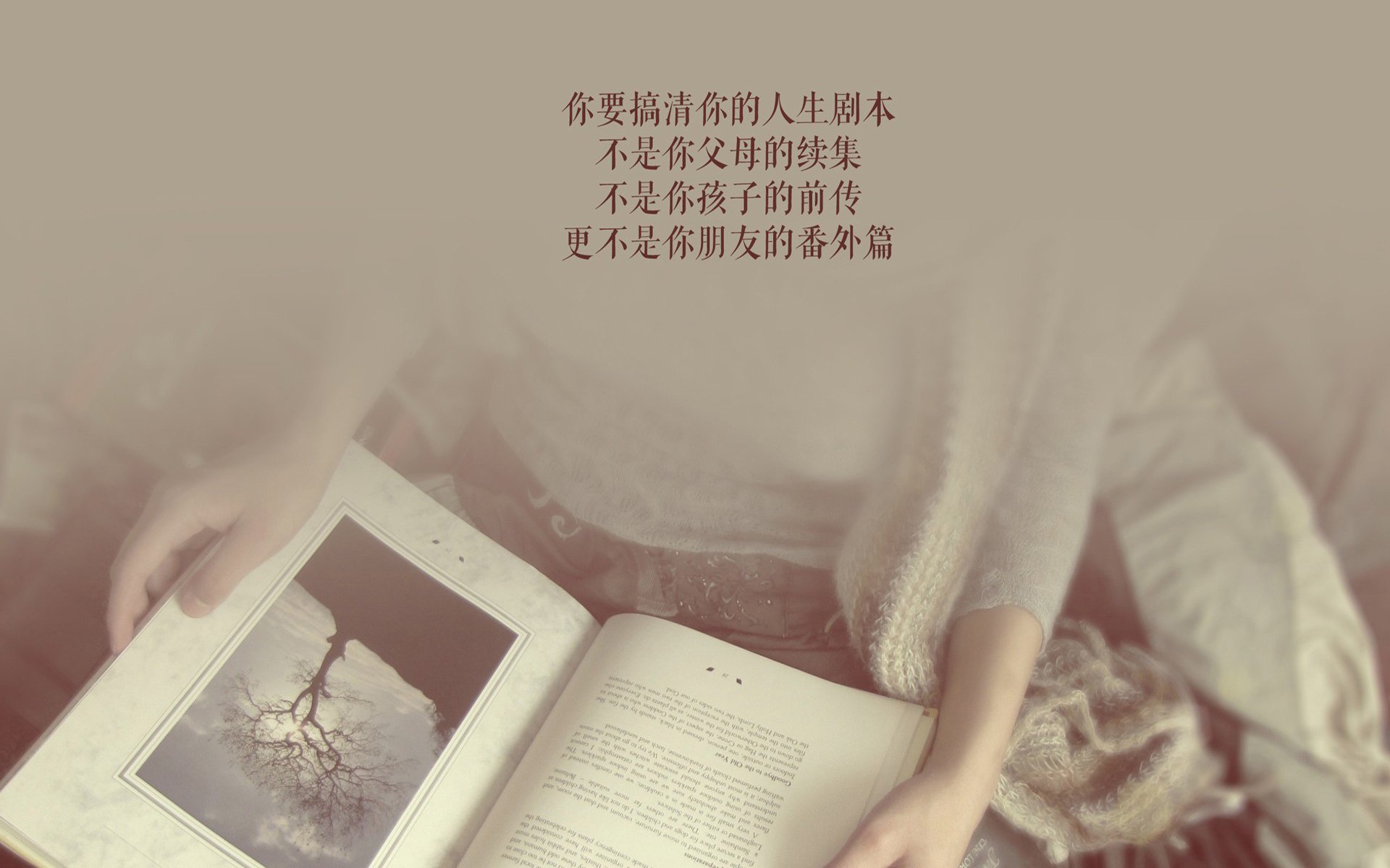 苏炳添 百米不是爆发而是积累，苏炳添百米起跑
