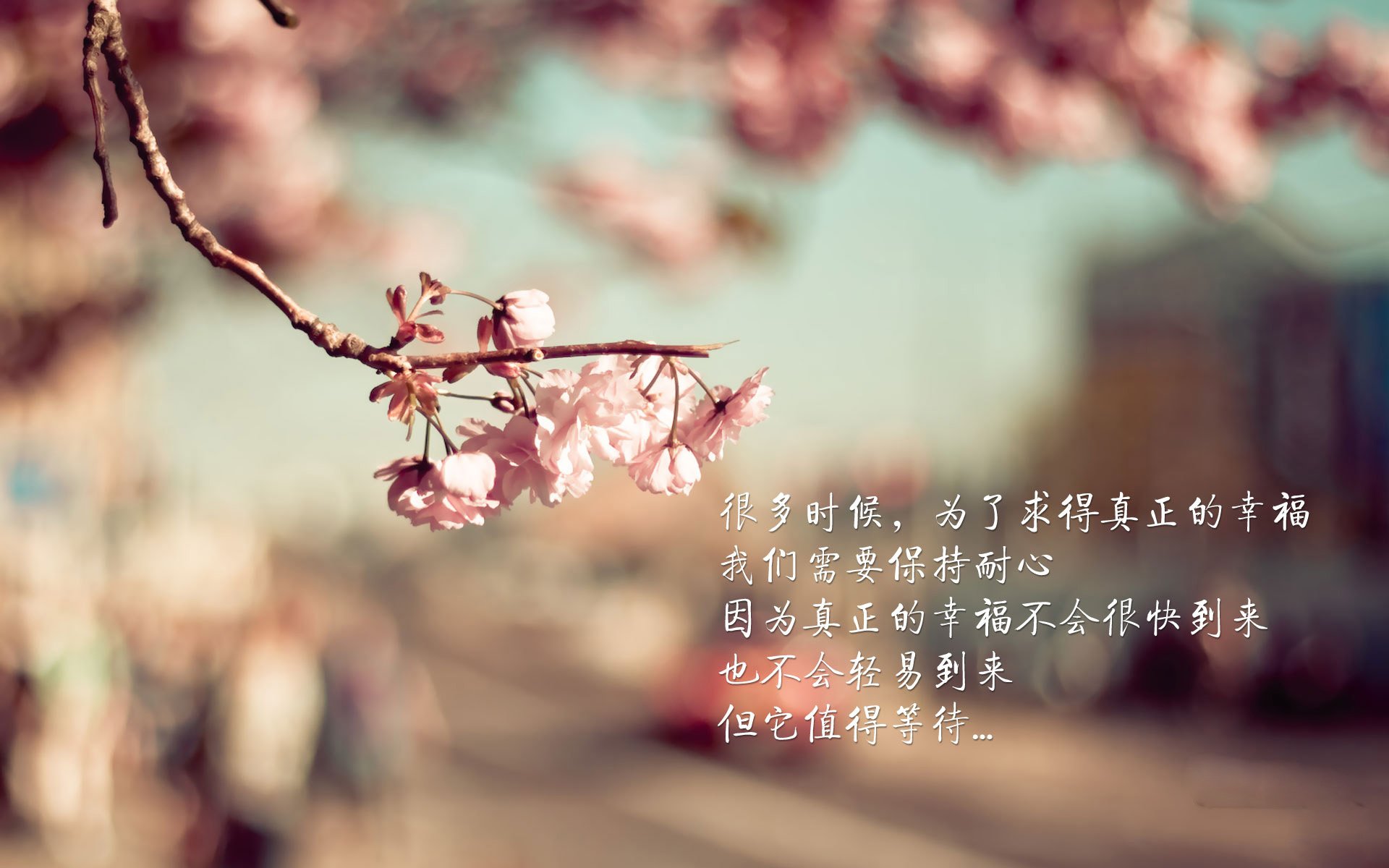 开云在线直播-水球快攻波兰主导比赛节奏，波兰球攻略