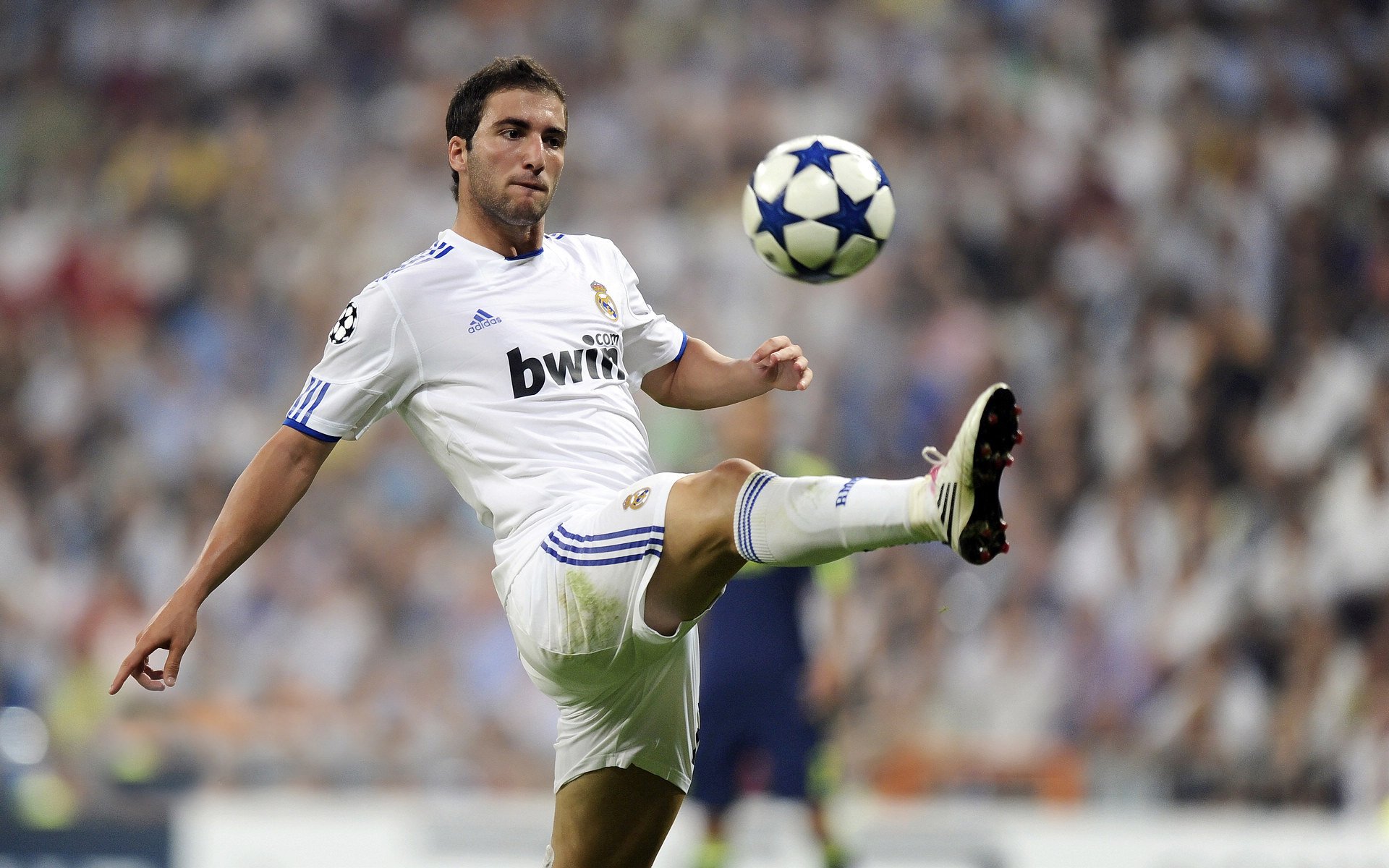 英超史上最年轻得分手诞生，未来可期，英超最年轻主帅